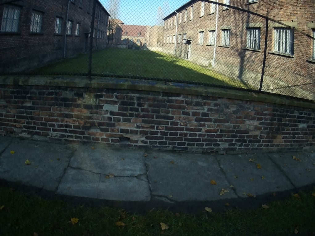 5. Auschwitz Kampı neden kuruldu?