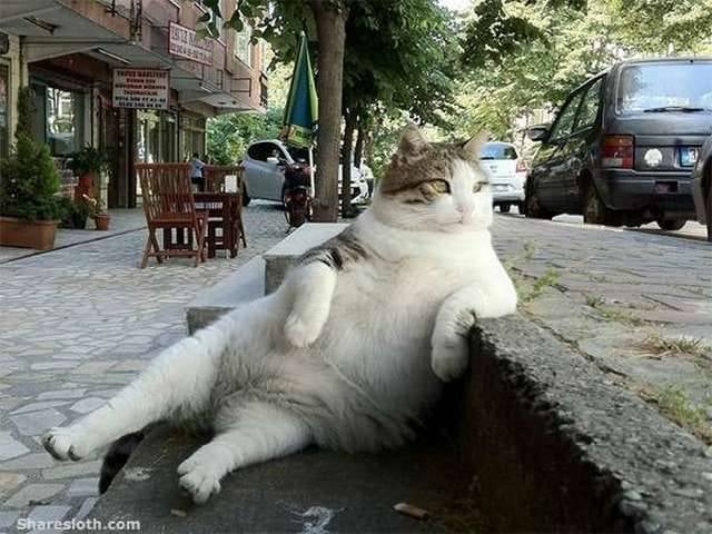 4. Stressiz, rahat bir çalışma ortamı sunar.