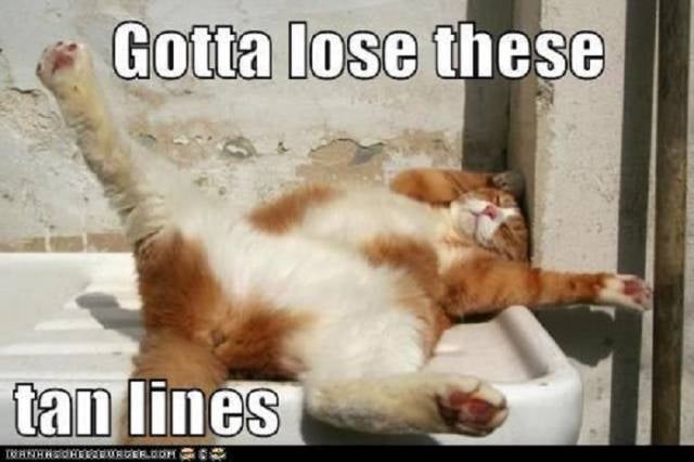 1. Güneşin altında çalışırsınız.