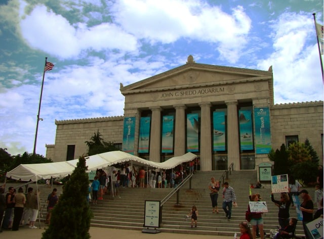 5. Shedd Aquarium