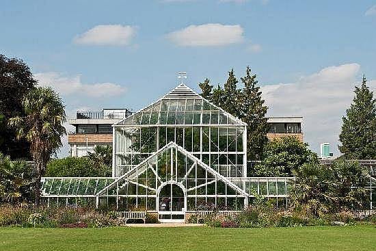 4. Cambridge Üniversitesi botanik bahçesi