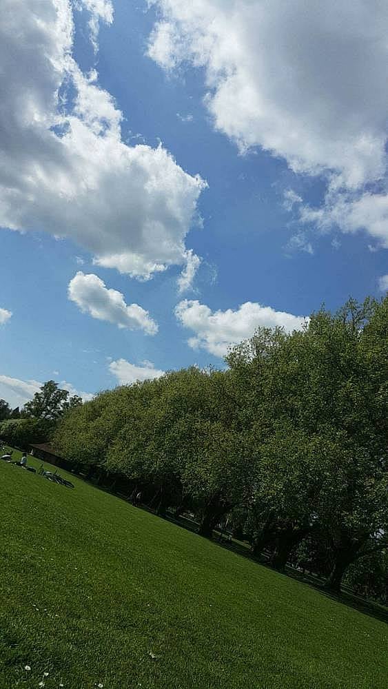 9. Yemyeşil doğa harikası parkları var.