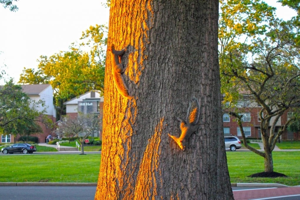 Bonus : Sincaplara alışmaya başlarsın.