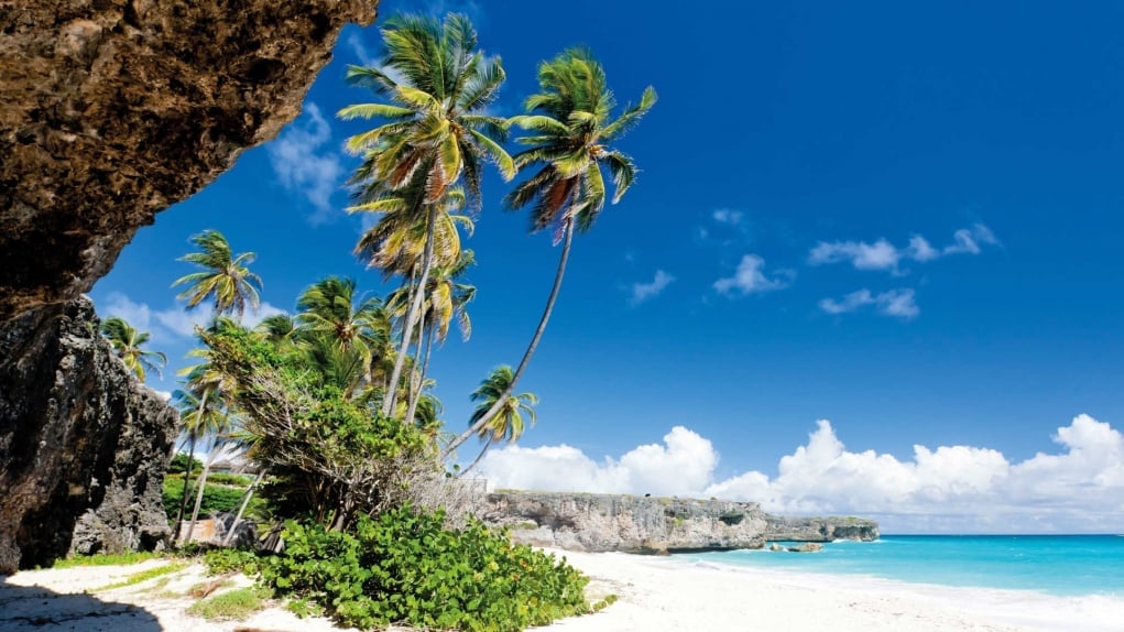 16. Karayipler'e yelken açın!