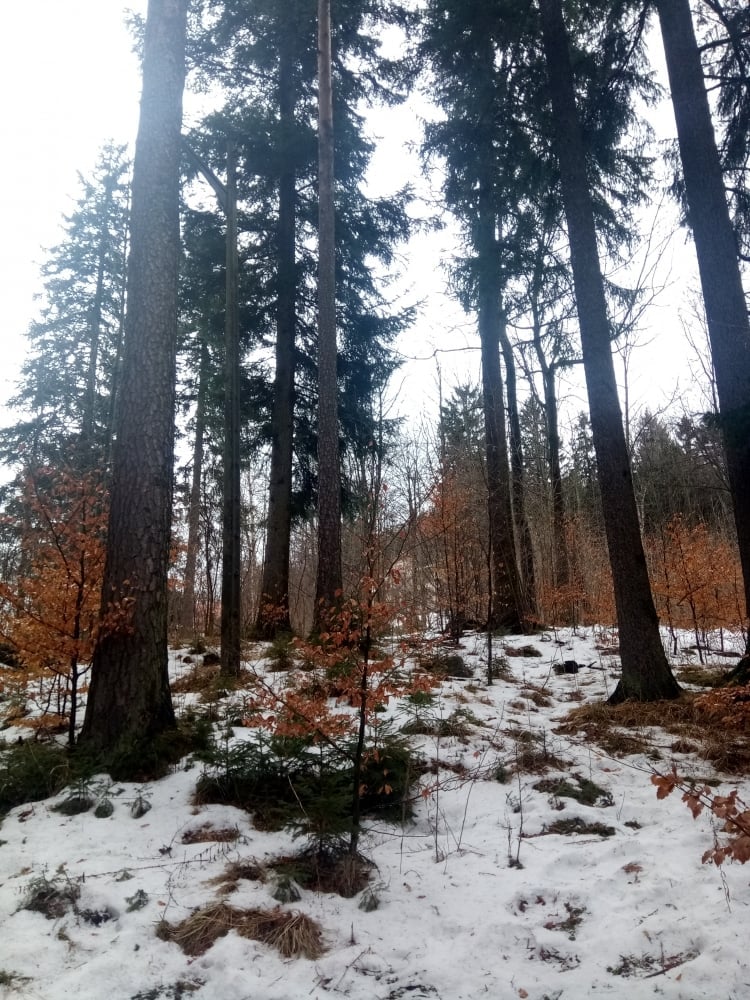 7. Biraz kafa dinlemek istiyorsanız Polonya doğru bir seçim.